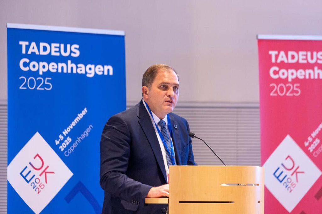 Πιτσιλής: Παρουσίασε το νέο Πολυετές Σχέδιο για τις φορολογικές διοικήσεις της Ε.Ε.