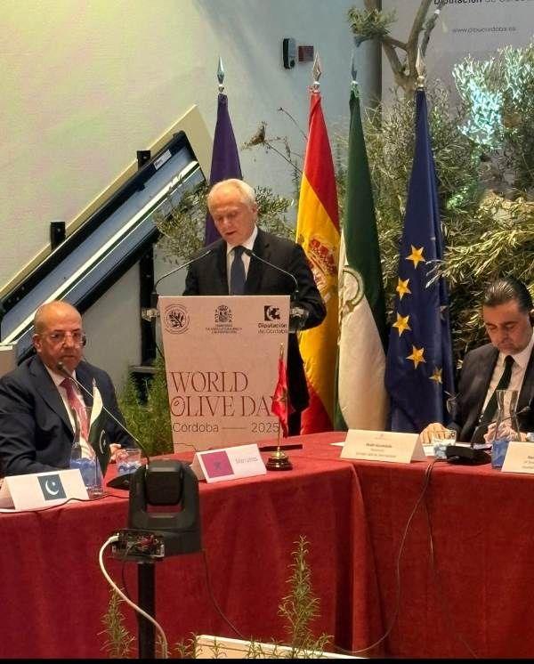 Γιάννης Ανδριανός: Κομβική η θέση της ελιάς και του ελαιόλαδου για τη Μεσόγειο