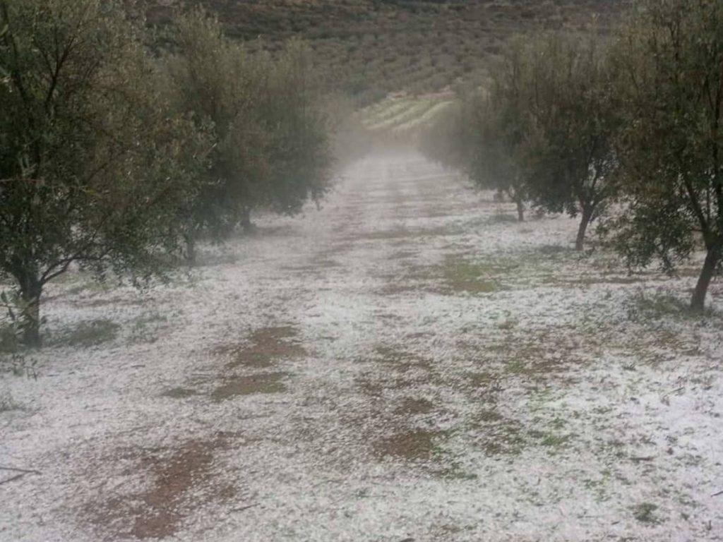 Πελοπόννησος: Ζημιές σε καλλιέργειες άφησε πίσω η σφοδρή χαλαζόπτωση