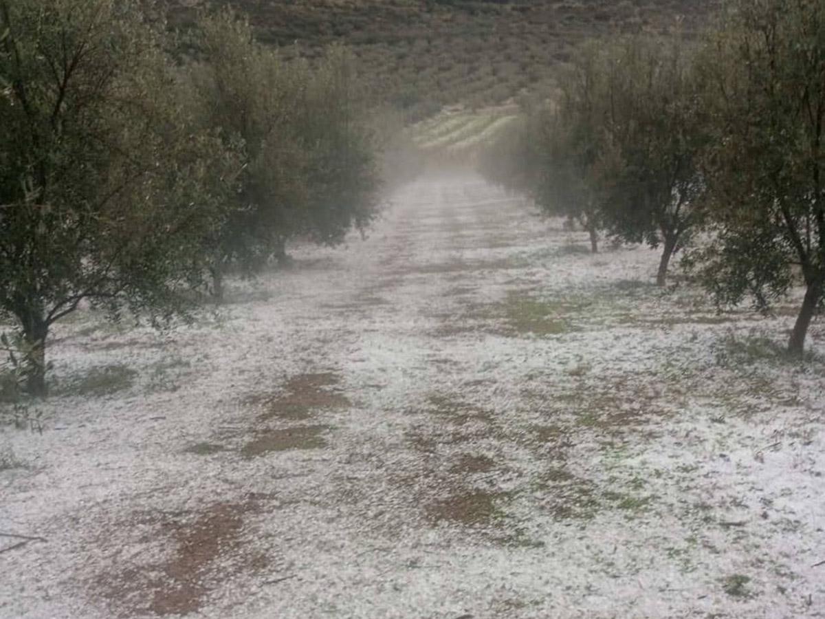 Πελοπόννησος: Ζημιές σε καλλιέργειες άφησε πίσω η σφοδρή χαλαζόπτωση