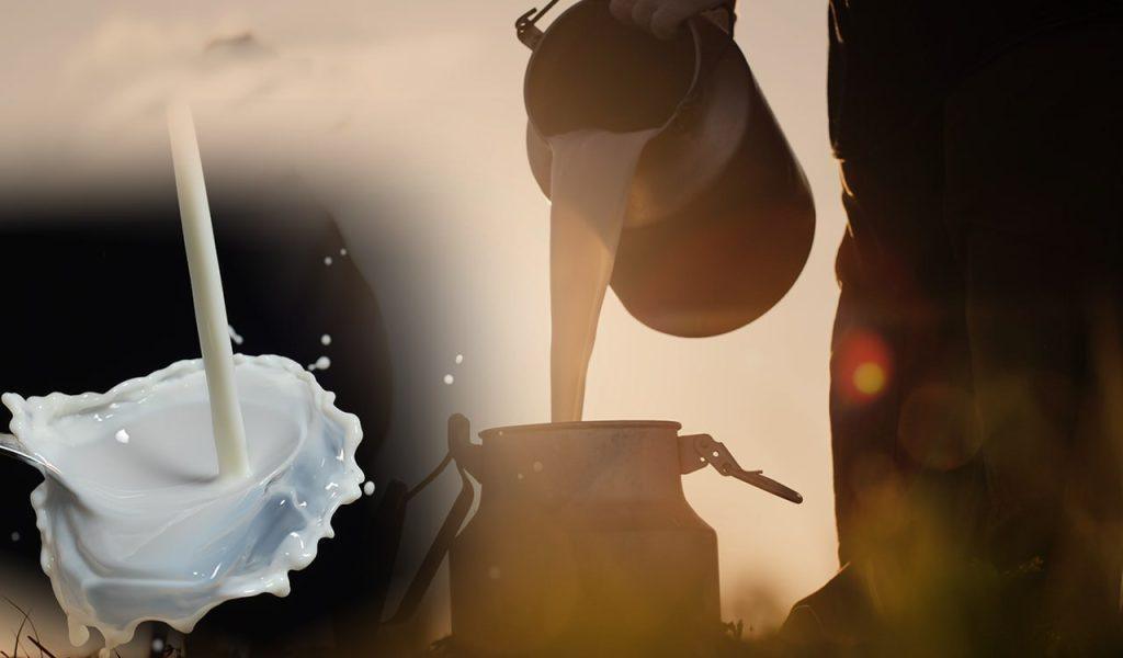 Ευλογιά προβάτων: Είκοσι νέα μέτρα θωράκισης της κτηνοτροφίας