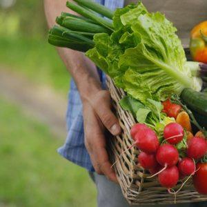 ΕΕ: Στα 132 εκατ. ευρώ προωθητικά προγράμματα αγροτικών προϊόντων – Οι εκστρατείες