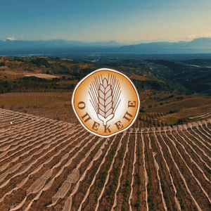 ΟΠΕΚΕΠΕ: Δεν επηρεάζεται η πληρωμή της βασικής από τα αποτελέσματα του AMS για τις συνδεδεμένες