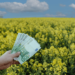 ΟΠΕΚΕΠΕ: Γιατί είναι μειωμένη η προκαταβολή της βασικής ενίσχυσης