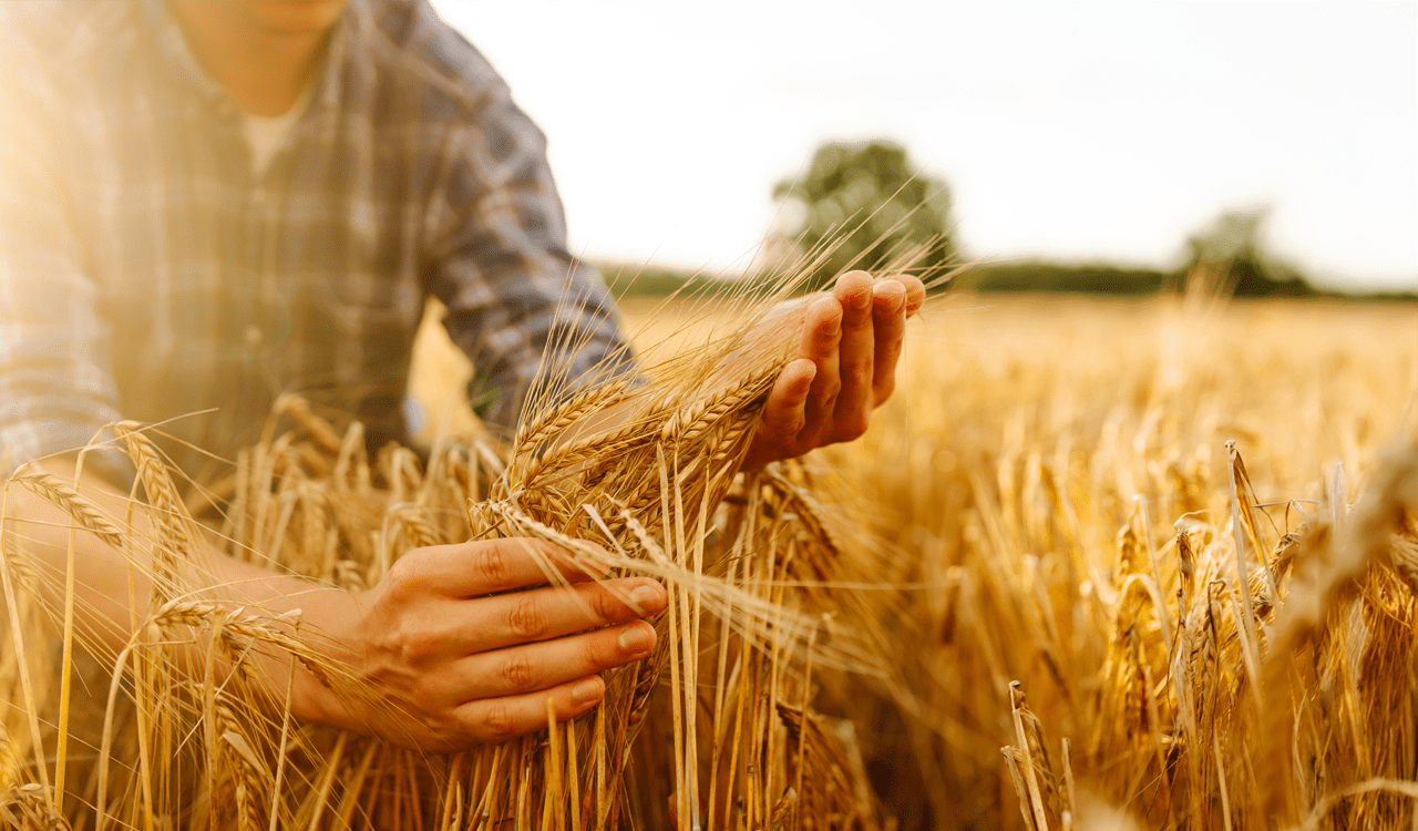 Νέοι αγρότες: Πώς θα ανοίξει ο δρόμος για την επόμενη γενιά της Ευρώπης