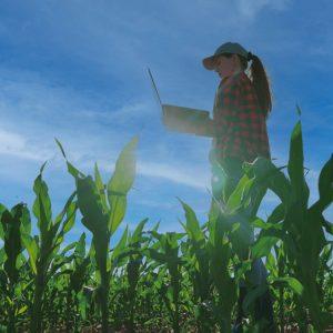 Ο πρωτογενής τομέας στο όριο: H ώρα των αποφάσεων