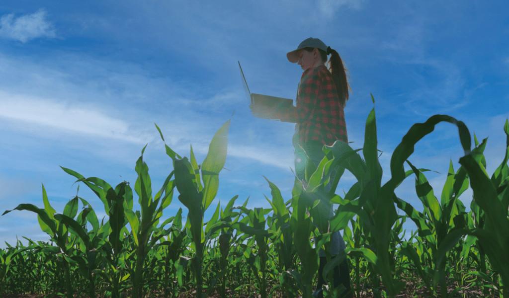 Ο πρωτογενής τομέας στο όριο: H ώρα των αποφάσεων