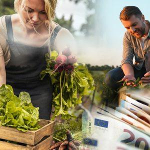 ΚΑΠ: Ποιοι αγρότες χρειάζονται περισσότερη στήριξη; Οι «ευάλωτες ομάδες» [γράφημα]