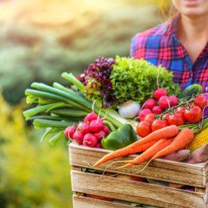 ΕΕ: Οι ευρωβουλευτές ζητούν ταχύτερη έγκριση των βιολογικών παραγόντων ελέγχου