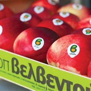 ΑΣΕΠΟΠ Βελβεντού: Νέες επενδύσεις και έμφαση στις εξαγωγές