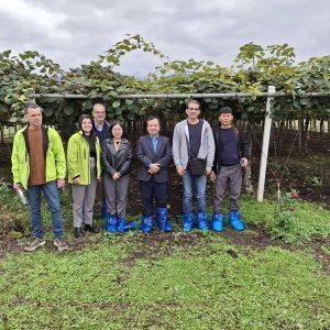 Ακτινίδιο: Προετοιμάζεται το άνοιγμα της αγοράς του Βιετνάμ