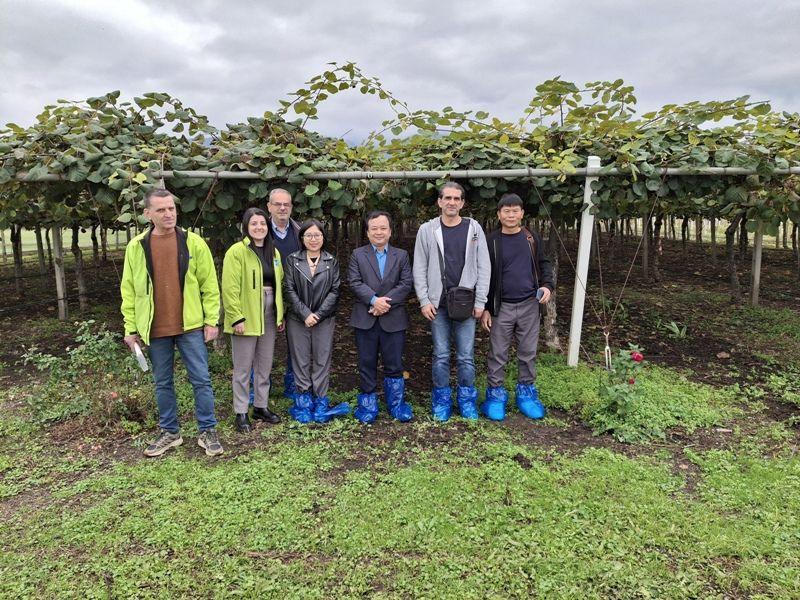 Ακτινίδιο: Προετοιμάζεται το άνοιγμα της αγοράς του Βιετνάμ