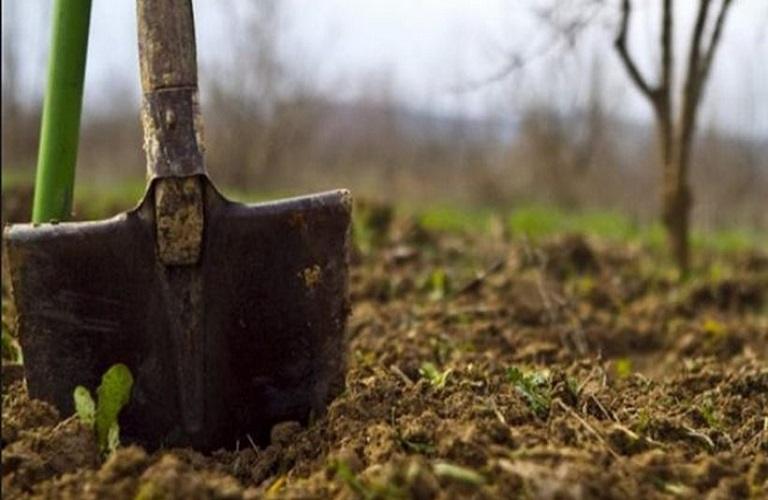 FAO: Περίπου 1,7 δισ. αγρότες ζουν με χαμηλότερες αποδόσεις καλλιεργειών