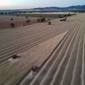 ΗΠΑ: Η «τέλεια καταιγίδα» για τους παραγωγούς σιταριού – Χαμηλές τιμές , τέλος η κρατική ενίσχυση