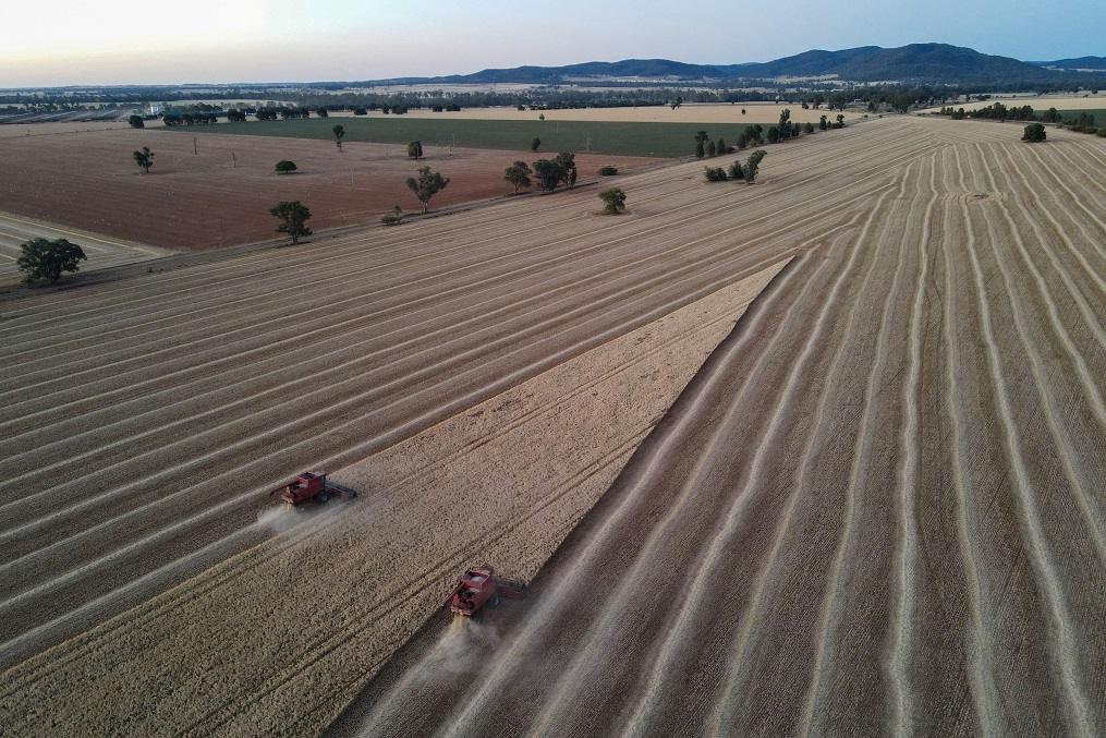 ΗΠΑ: Η «τέλεια καταιγίδα» για τους παραγωγούς σιταριού – Χαμηλές τιμές , τέλος η κρατική ενίσχυση