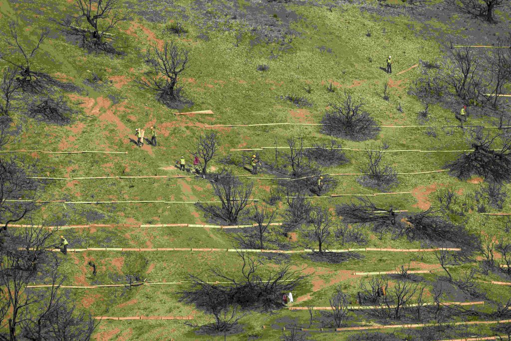 Coca-Cola Τρία Έψιλον: Σε πλήρη εξέλιξη η αποκατάσταση των πυρόπληκτων περιοχών της Πάτρας-Αχαΐας
