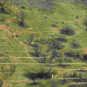 Coca-Cola Τρία Έψιλον: Σε πλήρη εξέλιξη η αποκατάσταση των πυρόπληκτων περιοχών της Πάτρας-Αχαΐας