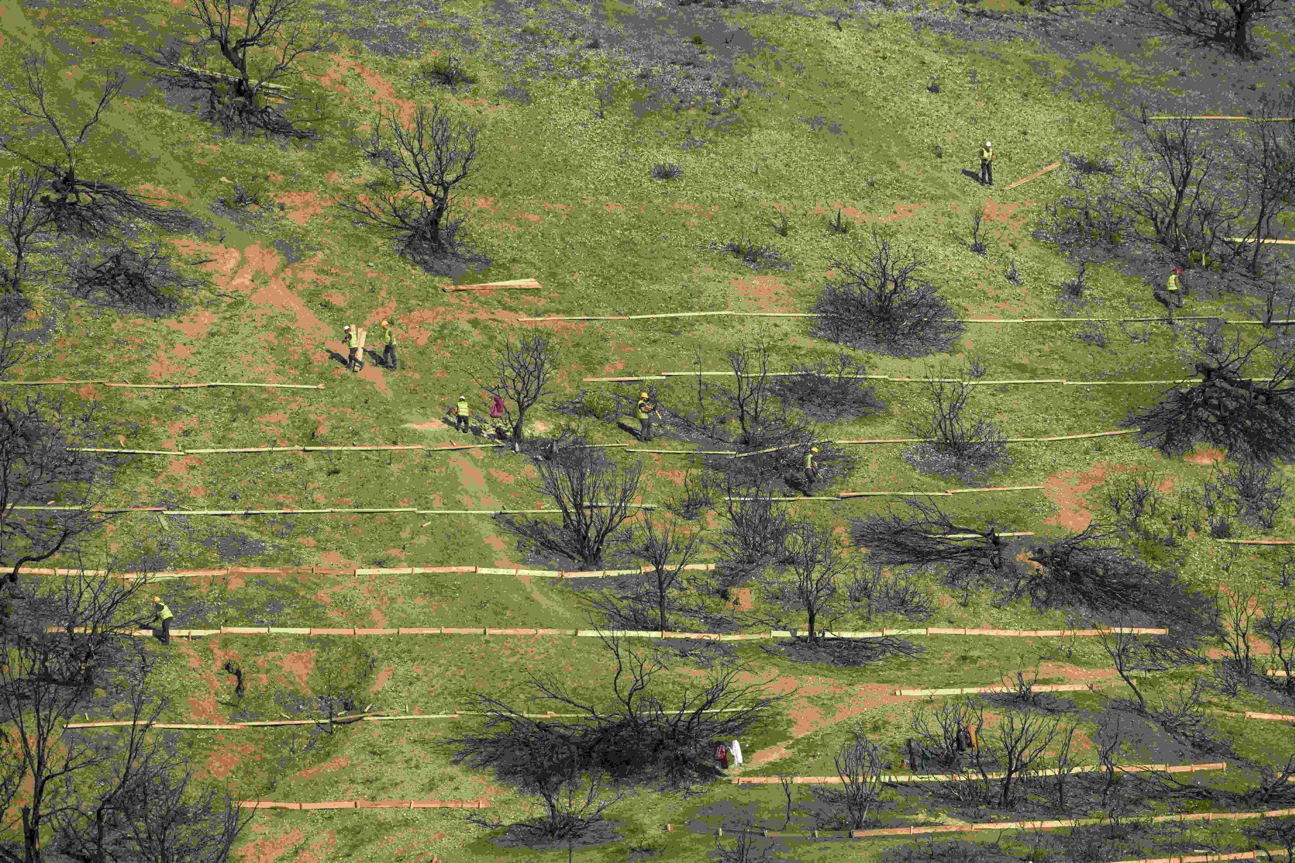 Coca-Cola Τρία Έψιλον: Σε πλήρη εξέλιξη η αποκατάσταση των πυρόπληκτων περιοχών της Πάτρας-Αχαΐας