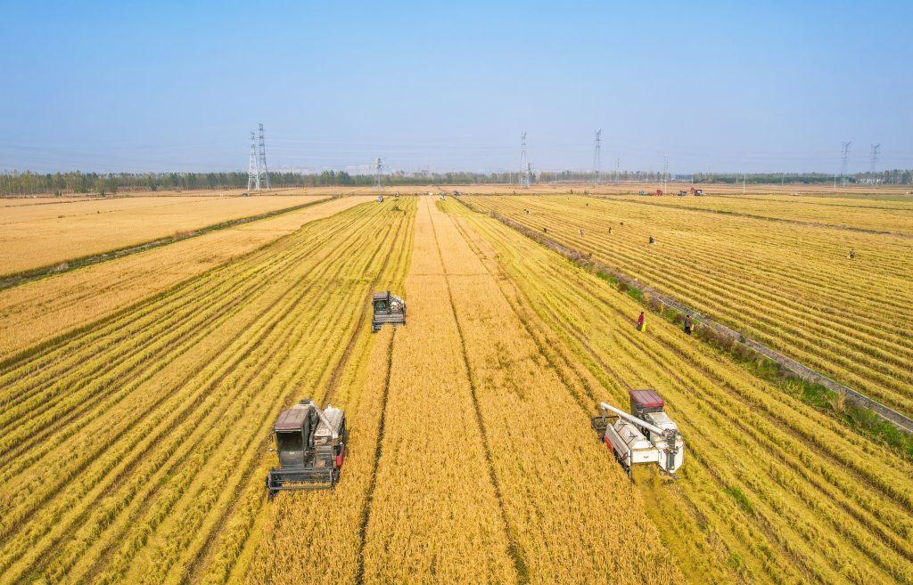 Αργεντινή: Η Cofco International μεταφέρει το πρώτο φορτίο σιταριού στην Κίνα