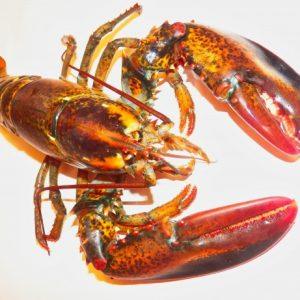 Έγκλημα: Η υπόθεση της ληστείας αστακού της Μασαχουσέτης αξίας 400.000 δολαρίων