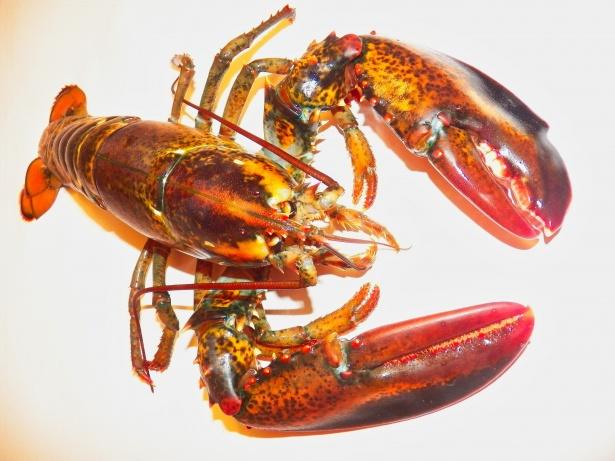 Έγκλημα: Η υπόθεση της ληστείας αστακού της Μασαχουσέτης αξίας 400.000 δολαρίων