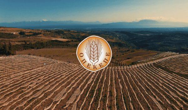 ΟΠΕΚΕΠΕ: Ποινική δίωξη από την Ευρωπαία εισαγγελέα εις βάρος των 16 συλληφθέντων – Βαριά αδικήματα