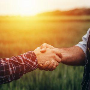 Mercosur: Πώς θα προστατευθεί η ευρωπαϊκή γεωργία – Αυστηρότερα όρια