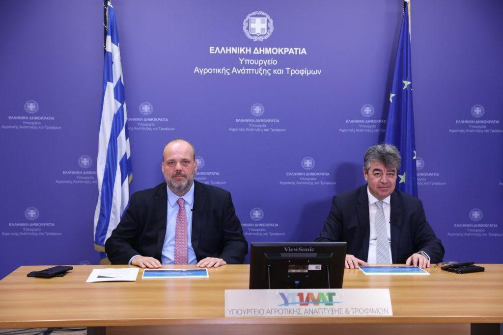 Ευλογιά προβάτων: Ξεπέρασαν τις 440.000 οι θανατώσεις – Καμία «χαλάρωση» ενόψει εορτών, λέει η Επιτροπή