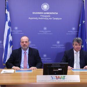 Ευλογιά προβάτων: Ξεπέρασαν τις 440.000 οι θανατώσεις – Καμία «χαλάρωση» ενόψει εορτών, λέει η Επιτροπή