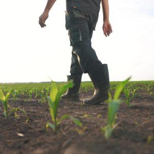Θέλουμε να έχουμε αγροτική παραγωγή;