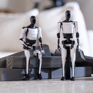 Ανθρωποειδή ρομπότ: Έρχονται τα ρομπότ… υπηρέτες στο σπίτι έναντι 20 χιλ. δολαρίων