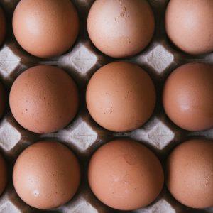 ΕΔΟΠ: Kίνδυνοι για την ελληνική πτηνοτροφία από τη συμφωνία ΕΕ – Mercosur