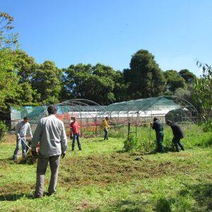 ΕΛΓΟ Δήμητρα: Ιδρύεται νέος Αναπτυξιακός Φορέας με έδρα τη Γεωργική Σχολή Μεσαράς