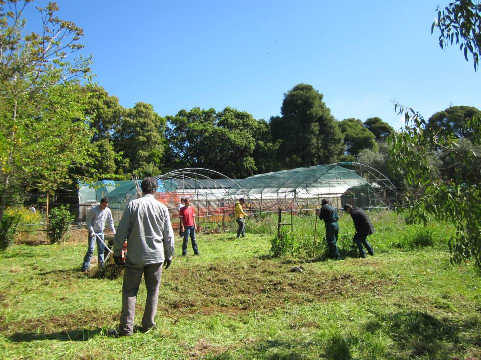 ΕΛΓΟ Δήμητρα: Ιδρύεται νέος Αναπτυξιακός Φορέας με έδρα τη Γεωργική Σχολή Μεσαράς