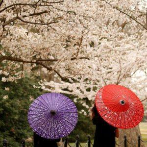 Τουρισμός: Ποιοι είναι οι ταχύτερα αναπτυσσόμενοι προορισμοί στον κόσμο