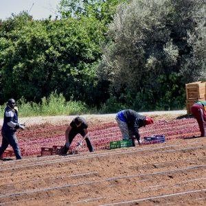 Ξένοι εργάτες: Μόλις 1 στις 4 κενές θέσεις εργασίας θα καλυφθούν από μετακλήσεις