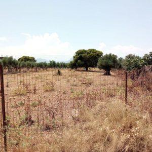 ΠΟΜΙΔΑ για ακαθάριστα οικόπεδα: Πού συμφωνεί, πού διαφωνεί