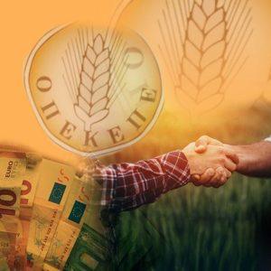 Το ερώτημα για ΑΑΔΕ – ΟΠΕΚΕΠΕ