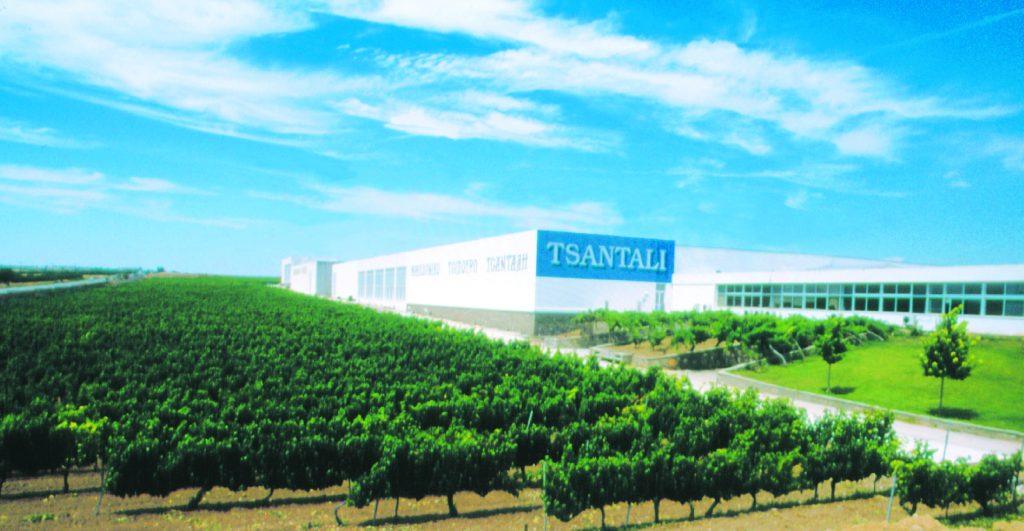 Οινοποιία Τσάνταλης: Τίτλοι τέλους για την ιστορική εταιρεία – Ποιοι διεκδικούν το μέλλον της