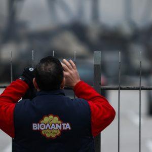 Βιολάντα: Όλα τα μέτρα στήριξης για τις οικογένειες των θυμάτων