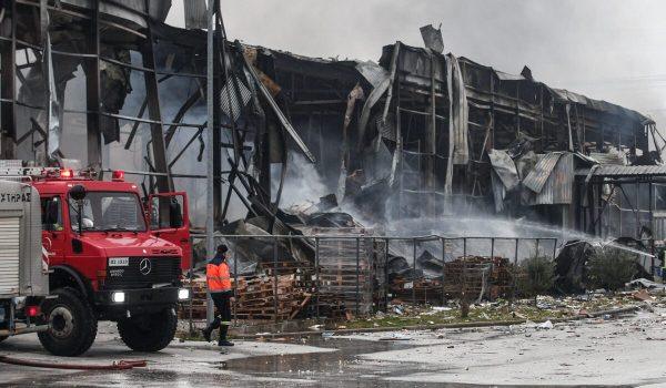 Βιολάντα: Πώς οι φορείς ενίσχυαν την εταιρεία χωρίς ελέγχους