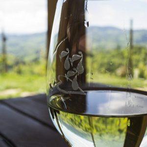 ΕΕ: Πακέτο στήριξης για οινοπαραγωγούς – Νέες ευκαιρίες στην αγορά