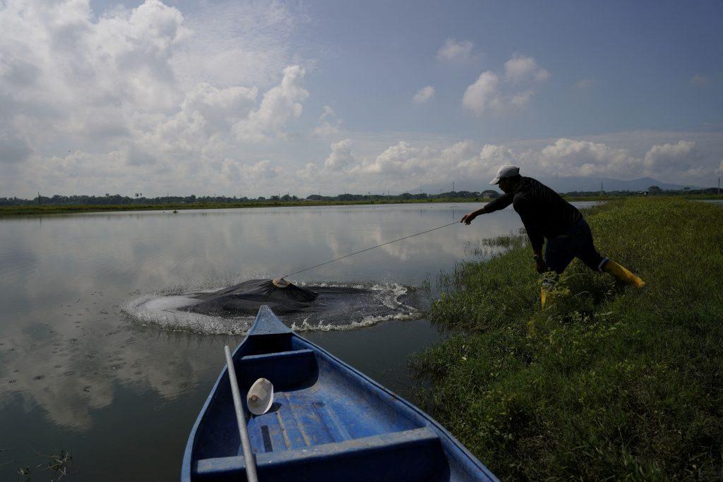 Εκουαδόρ: Ρεκόρ εξαγωγών γαρίδας 8,4 δισ. δολάρια και πρωτιά