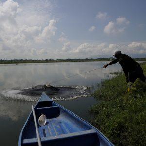 Εκουαδόρ: Ρεκόρ εξαγωγών γαρίδας 8,4 δισ. δολάρια και πρωτιά