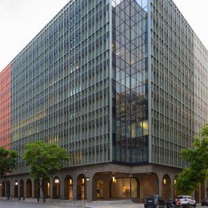 Dimand: Φέρνει τις μέλισσες στην καρδιά της πόλης