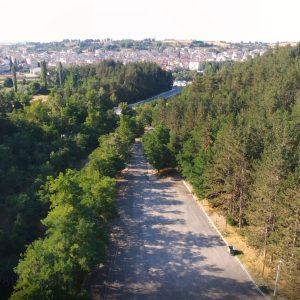 Γρεβενά: Αναβάθμιση περιαστικού άλσους με πόρους του Ειδικού Πρόγραμματος Δίκαιης Αναπτυξιακής Μετάβασης