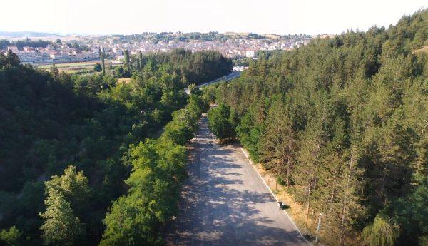 Γρεβενά: Αναβάθμιση περιαστικού άλσους με πόρους του Ειδικού Πρόγραμματος Δίκαιης Αναπτυξιακής Μετάβασης