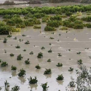 Κλιματική αλλαγή: Τα ακραία καιρικά φαινόμενα στη Μεσόγειο εκτοξεύουν τις τιμές στον Βορρά