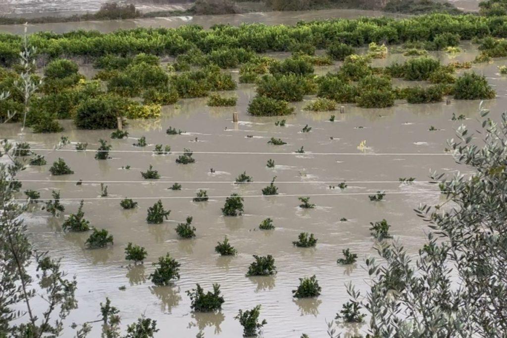 Κλιματική αλλαγή: Τα ακραία καιρικά φαινόμενα στη Μεσόγειο εκτοξεύουν τις τιμές στον Βορρά