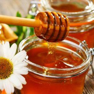 Μέλι: Υπό πίεση η μελισσοκομία – Οι εισαγωγές και η συμφωνία ΕΕ – Mercosur